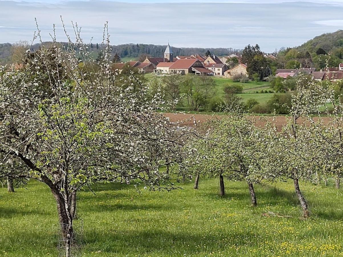 Chateau D'Impasse Laferté-sur-Amance Eksteriør bilde